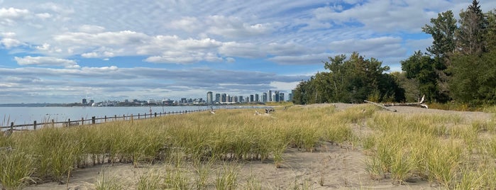 Hanlan's Point Beach is one of Canada.