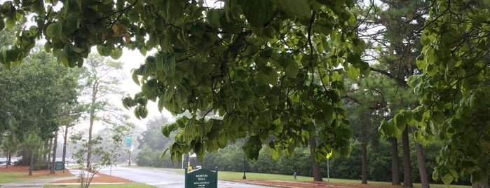 Bear Hall is one of UNCW Campus Tour.