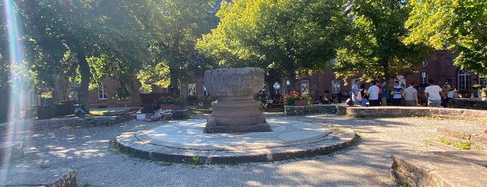 Mont Sainte-Odile is one of França.