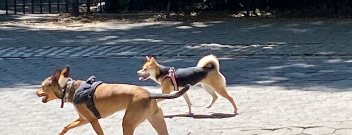 Stuyvesant Square Dog Park is one of Summer.