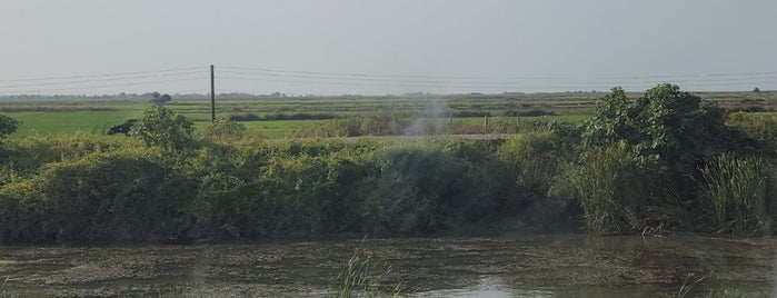 Kızılırmak Deltası Kuş Cenneti Göl is one of Samsun.