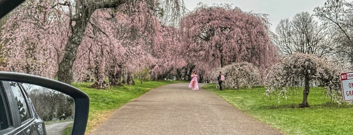 City of Lexington is one of Locais curtidos por Matt.