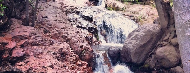 Parque Nacional Cipreses is one of Lugares favoritos de Mario.