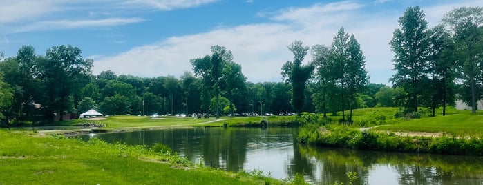 Meadows Golf is one of Golf course.