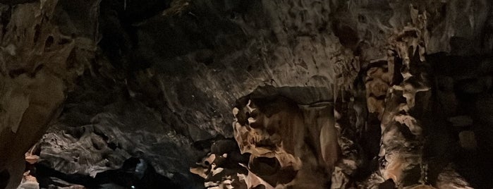 Cango Caves is one of Garden route.
