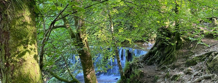 Stock Ghyll Force Waterfalls is one of guestandtravel.