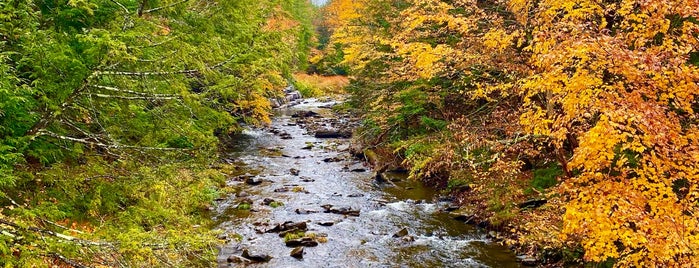 Kaaterskill Creek is one of Upstate.