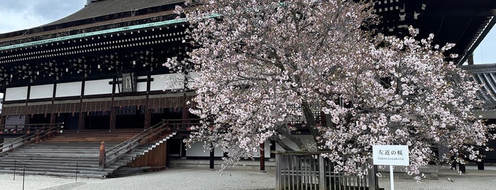 左近の桜 is one of 京都 2016 To-Do.