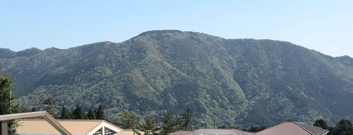Ten-yu, Hakone Kowakien is one of 宿.