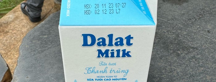 Dalat Milk is one of Vietnam - Dalat 🇻🇳.