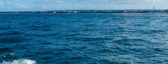 Tanjung Benoa Beach is one of Locais curtidos por Jan.