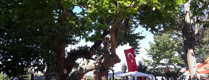 BabaSultan is one of Yenişehir.