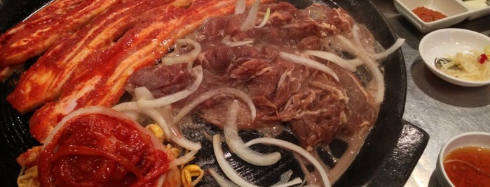Honey Pig Gooldaegee Korean Grill is one of Favorite Food Places in DC Area.