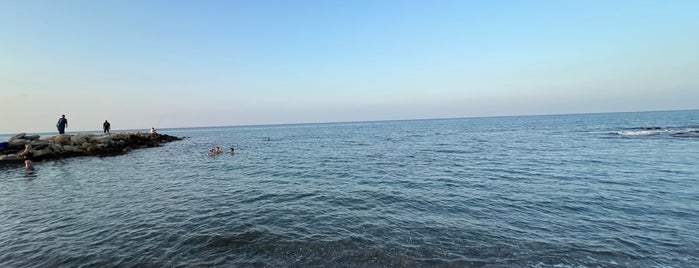 Kıbrıs/Cyprus, Plaj/Beach