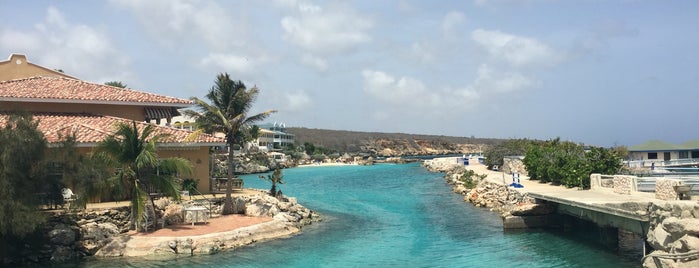 Lions Dive & Beach Resort is one of Curacao.