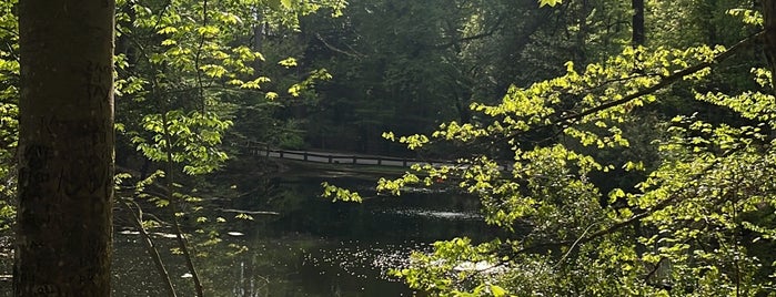 Crim Dell is one of Explore Colonial Williamsburg.