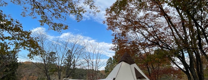 日光まなかの森 キャンプ&リゾート is one of Camp.