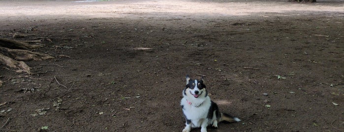 Yoyogi Park Dogrun is one of Tokyo.