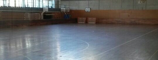 FC Martinenc Hoquei Patins is one of Piscinas..