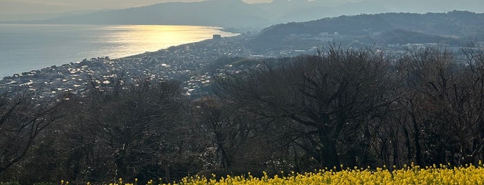 吾妻山公園 is one of Yuzukiさんのお気に入りスポット.