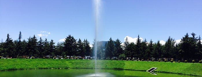 Parque La Providencia is one of Toluca discovert.