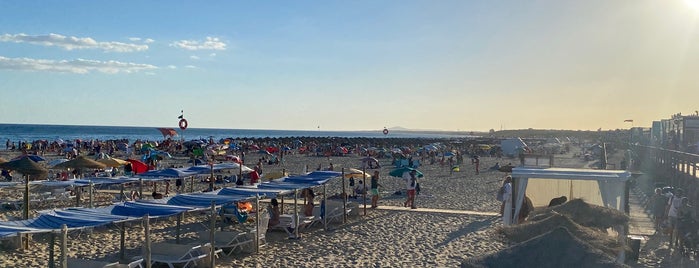 Praia Monte Gordo is one of Praias do Algarve.