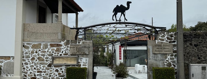 Camelo is one of Visitados 2017.