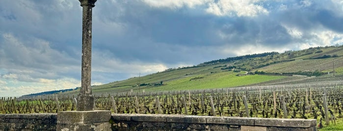 Romanée Conti Grand Cru is one of Top picks for Vineyards.