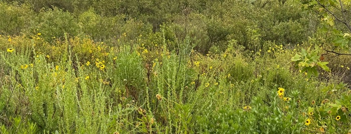 Peters Canyon Regional Park (North Entrance) is one of What should I do today? Oh I can go here!.