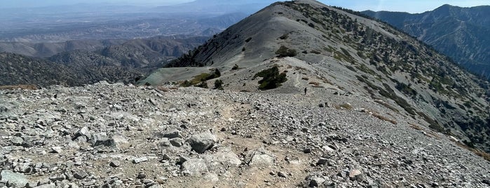 Mt. Baldy is one of CA.