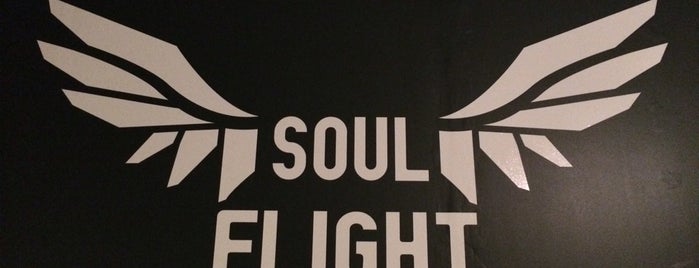 Soul Flight is one of Berlin.