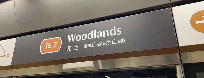Woodlands MRT Interchange (NS9/TE2) is one of le 4sq with Donald :).