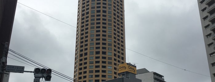 中目黒立体交差交差点 is one of 東京陸橋.