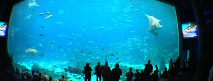 Georgia Aquarium is one of Filmed in Georgia!.
