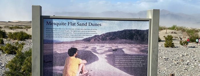 Mesquite Flat Sand Dunes is one of Nevada/Arizona/NewMexico/Desert.