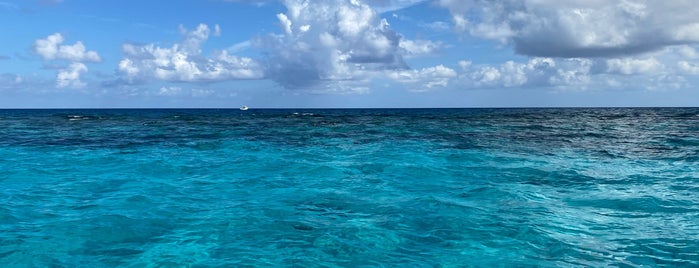 Cayman Barrier Reef is one of Caymans.