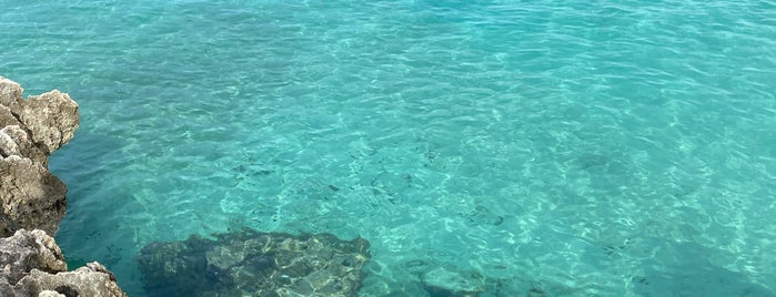 Malmok Beach is one of My Aruba Spots.