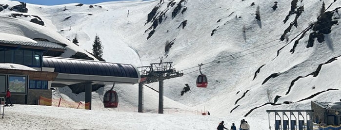 Top of Salzburg is one of Zell am See.