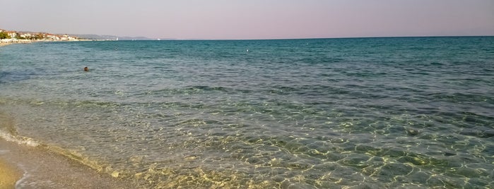 Flegra Beach is one of 🌞🌊Chalkidiki-->to The Beach 🐋🐬🐟🐠🐡🦀.