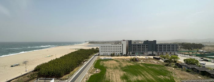 오션벨리리조트 is one of beaches n islands.