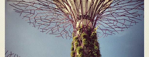 SuperTree by IndoChine is one of Singapore again.