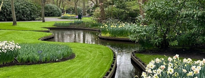 Keukenhof-The Tulips Garden, Holland is one of Amesterdam.