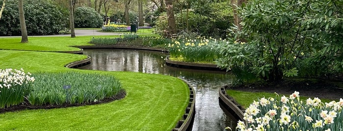 Keukenhof-The Tulips Garden, Holland is one of Amsterdam 2018.