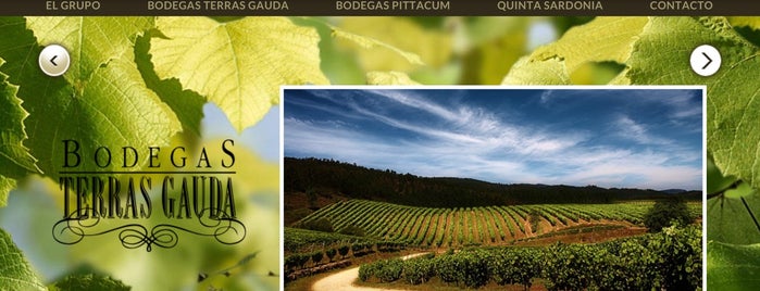 Bodegas Terras Gauda is one of Finde 19 Mayo.