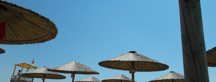 Navagio Beach Bar is one of Greece with Cyn.