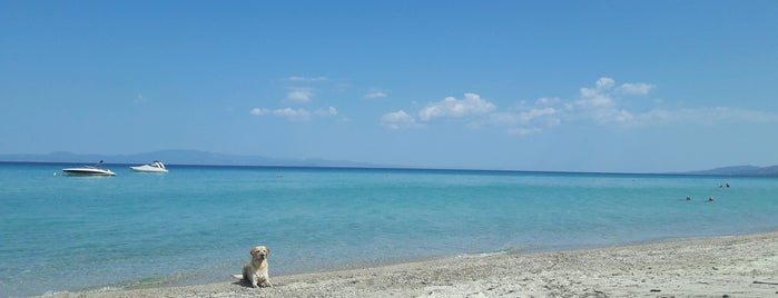 Παραλία Φλέγρας is one of Halkidiki beach.