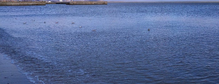 Primorskiy beach is one of Мариуполь.