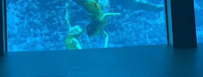 The Underwater Theater is one of "Florida Man".
