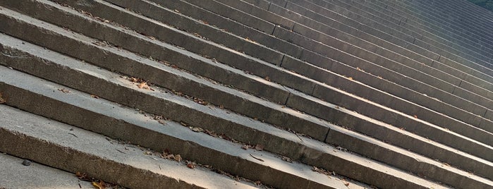 The Stairs at Fort Greene Park is one of P.’s Liked Places.