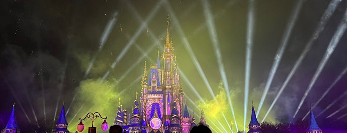 Once Upon A Time Castle Projection Show is one of Disney World and Orlando..